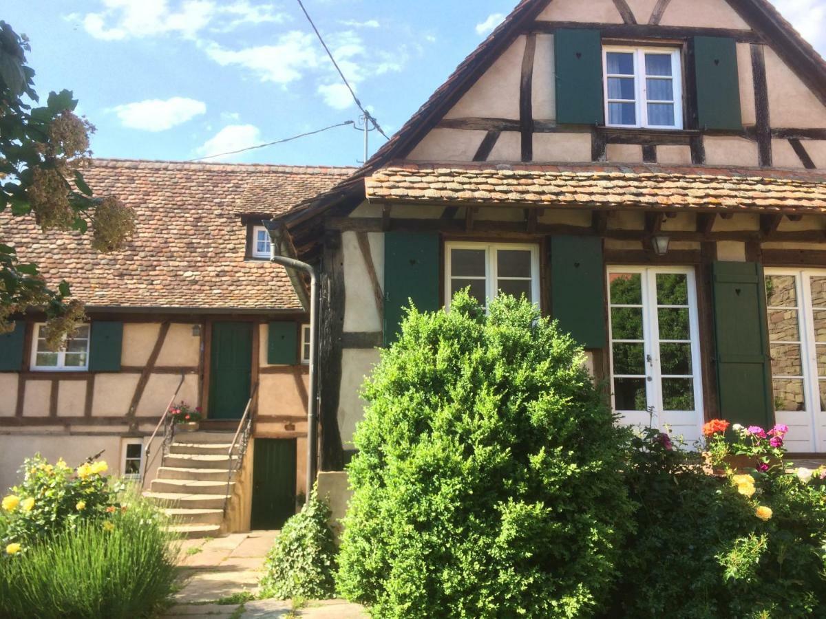 Gîte Les Chotzi's Maennolsheim Exterior foto